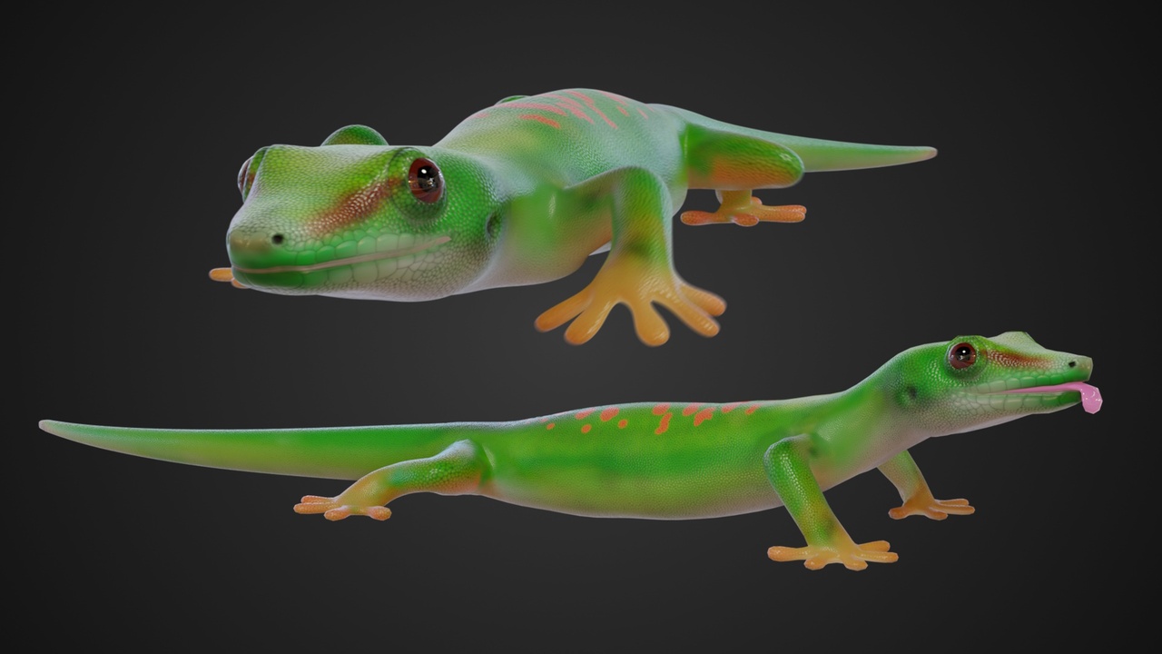 出品Animated green geckoのメディア1