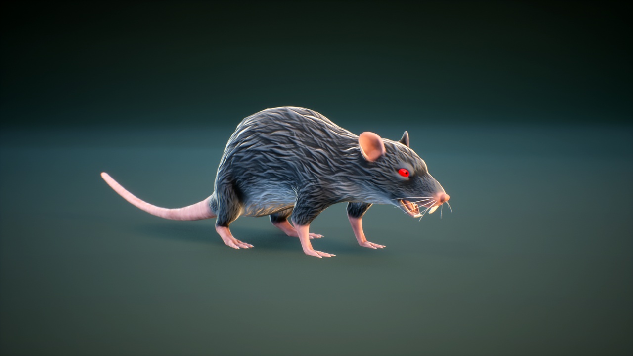 Media 1 for listing Rat