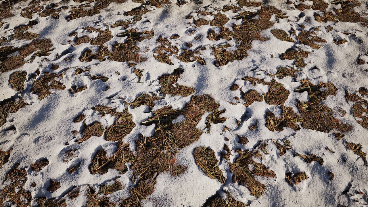 Fresh Snow