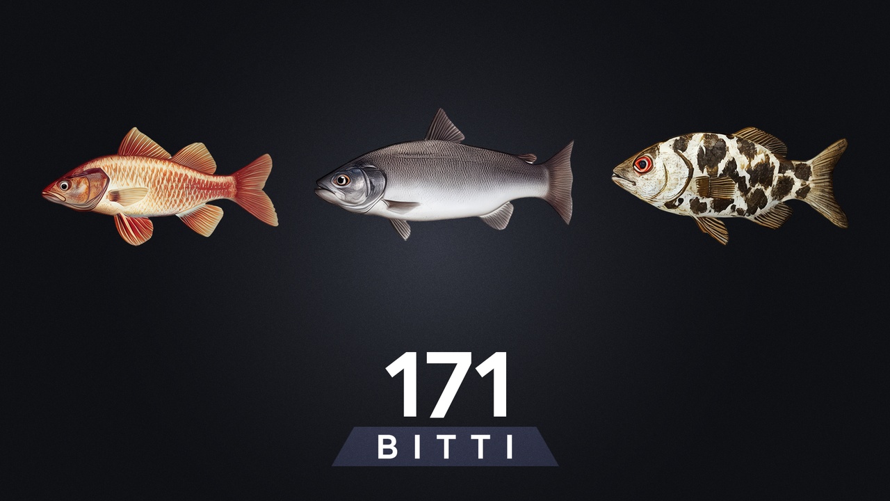 Media 1 for listing BITTI - Fish 171