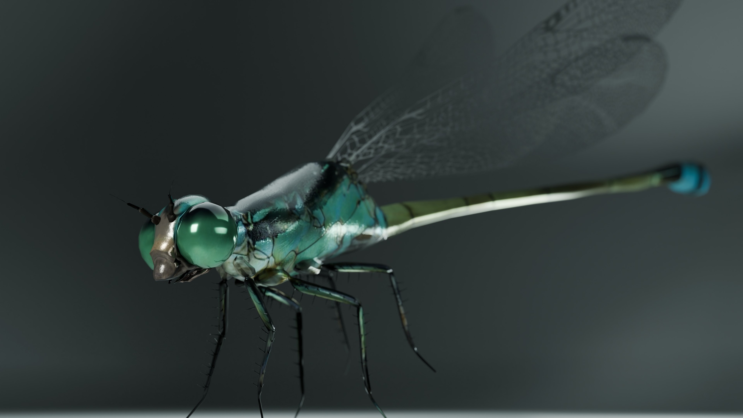 Media 1 for listing Dragon Fly