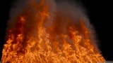 Forest Fire Vdb Effect Pack | Fab