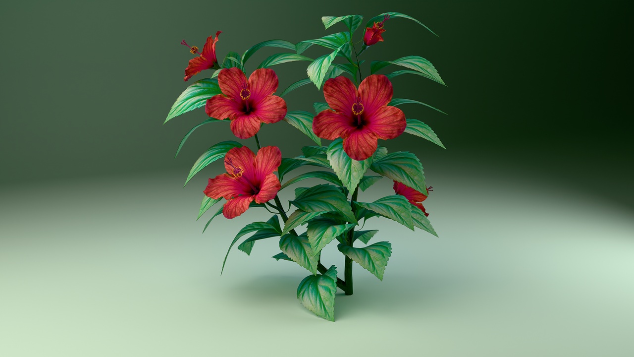 Media 1 for listing Hibiscus Flower – 3D Plant (HQ + LQ, Red & Blue variants)