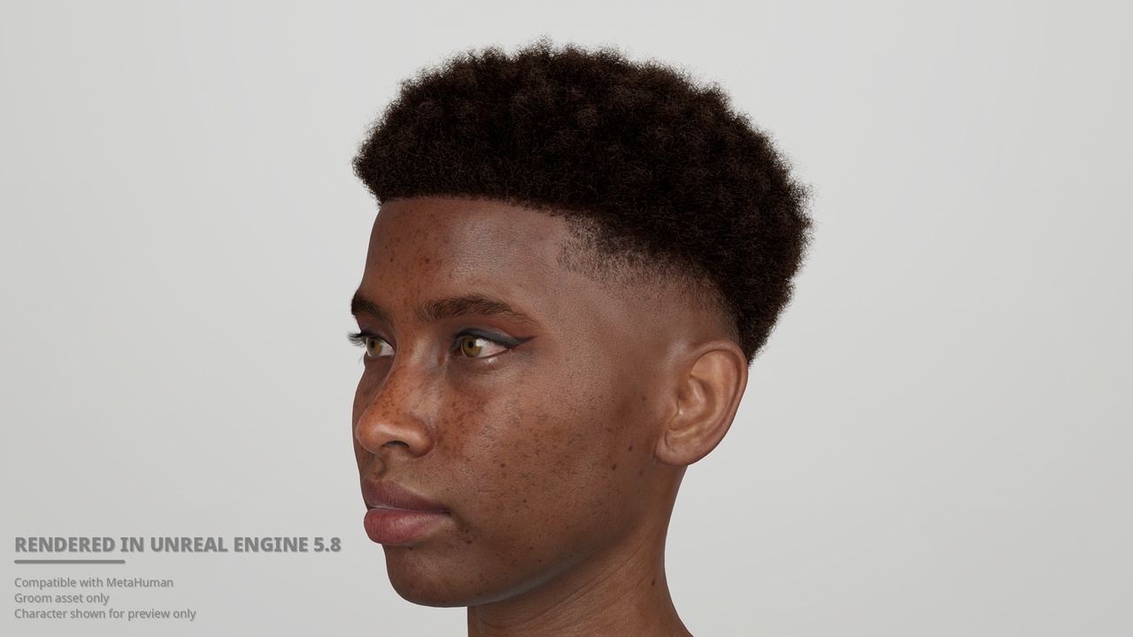 Media 1 for listing Short Coily Afro Low Drop Fade Groom for MetaHuman