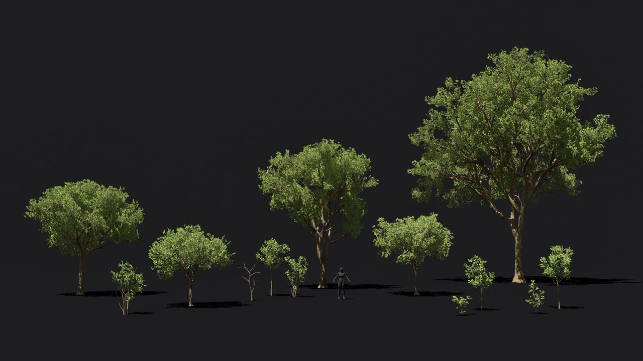 Tree Game Texture Game ready forest pack of 13 Oak trees assets | Fab