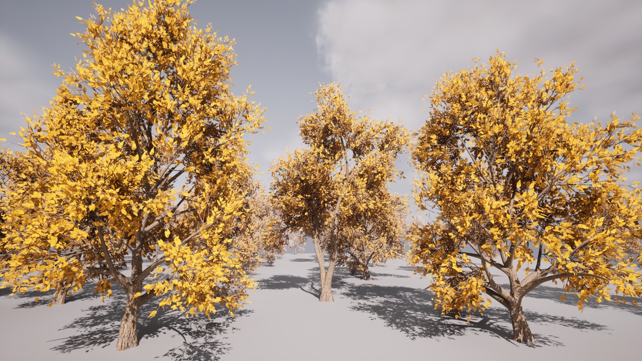 Media 1 for listing HighPoly Tree Pack 40