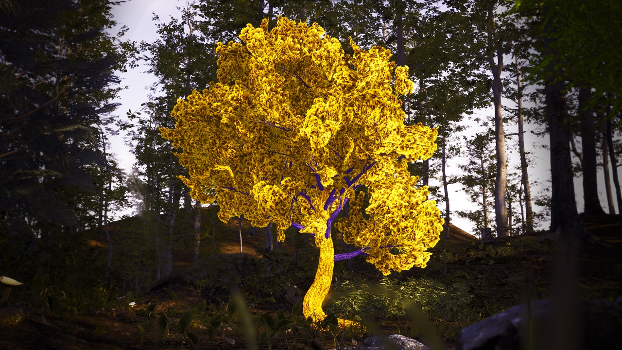 Media 1 for listing Yellow Fantasy Forest - 6 Golden Crown Tree Plant