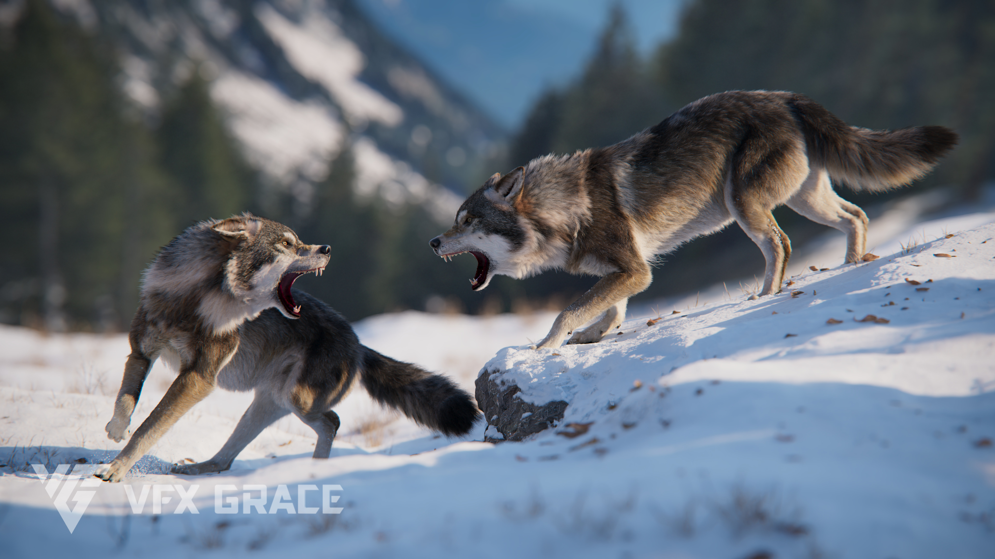 Wolf Animation - Unreal Engine Character Asset