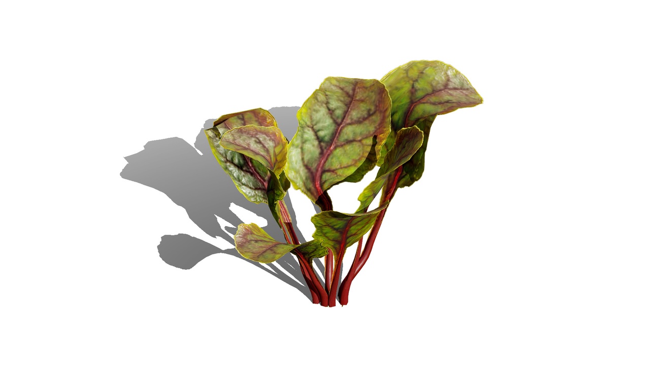 Media 1 for listing 3D Leafy Green Plants Pack