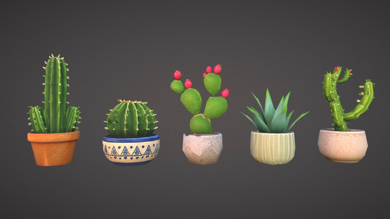Media 1 for listing Stylized Low Poly Cactus Succulent Potted Plants Collection 3D Model