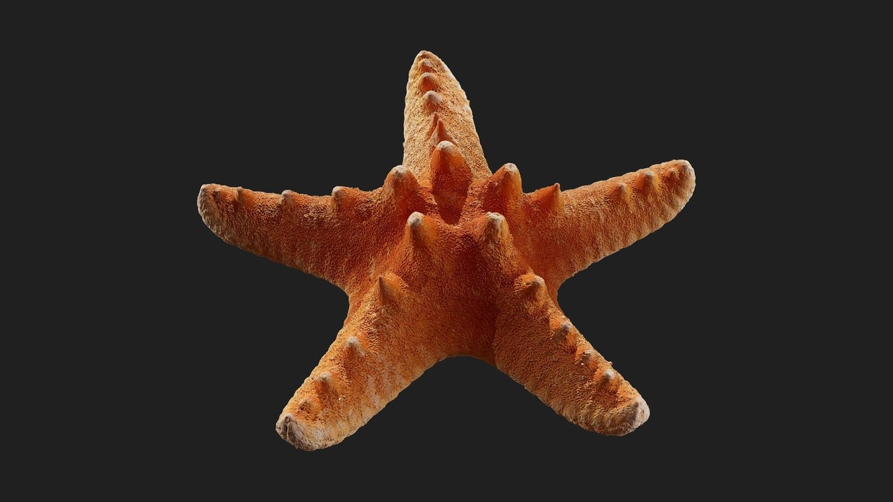 الوسائط 1 للقائمة Starfish