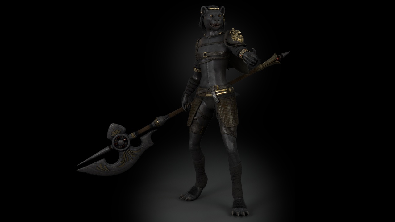 Media 1 for listing Cat Female Warrior