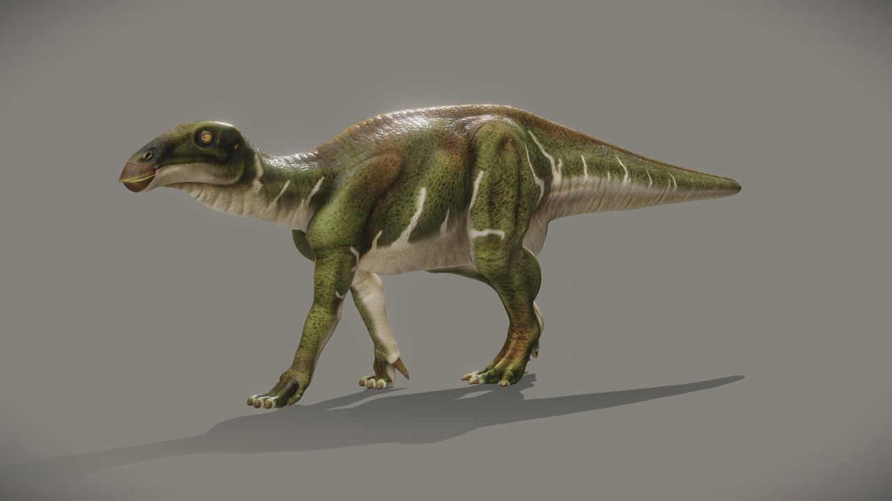 Media 1 for listing Iguanodon Bernissartensis