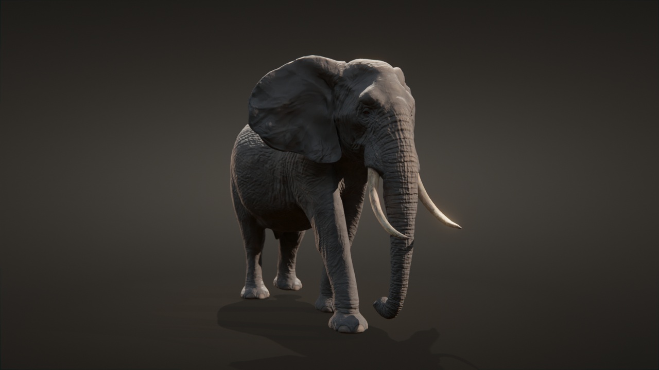 商品 African elephant 的媒体 1