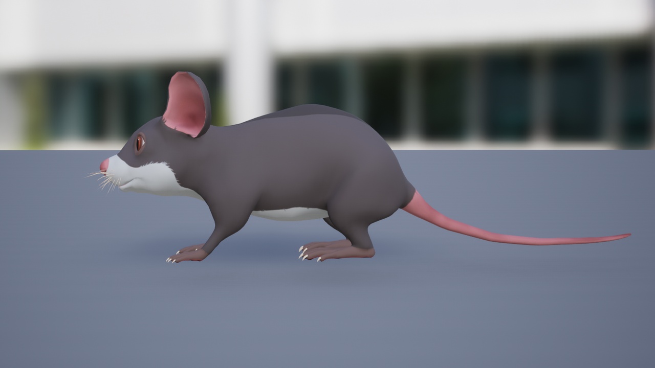 Media 1 for listing Cartoon Mouse