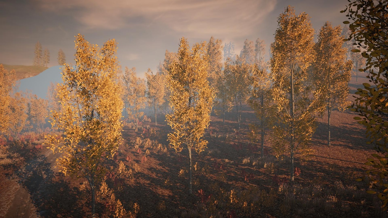Media 1 for listing Desktop Trees Pack 1 (PC/Console)