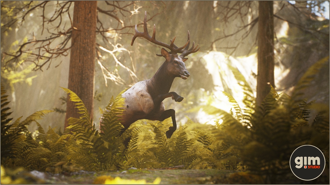 Media 1 for listing Animalia - Elk (male)