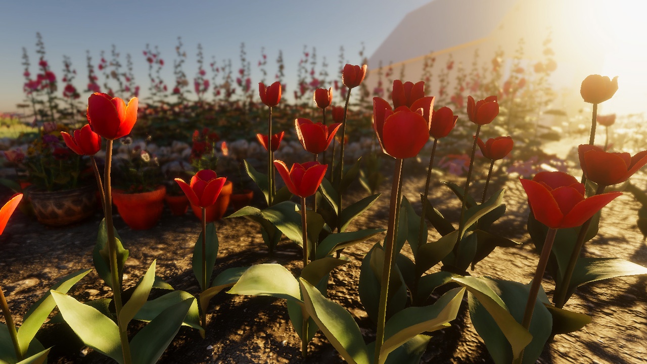 Media 1 for listing Garden Flowers and Herbs Pack