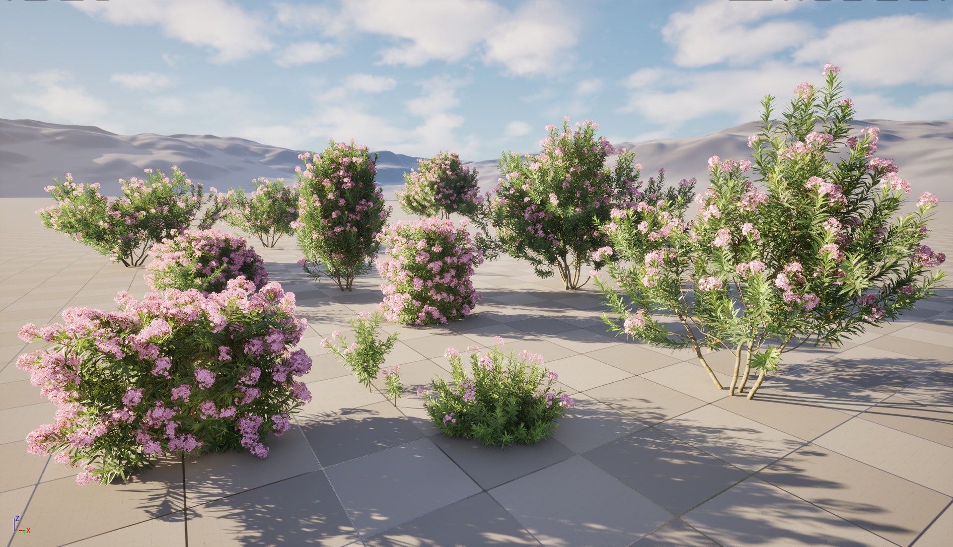 Media 1 for listing UE5 Wind Plants - Nerium oleander - Rosebay (Highpoly+Low Poly)
