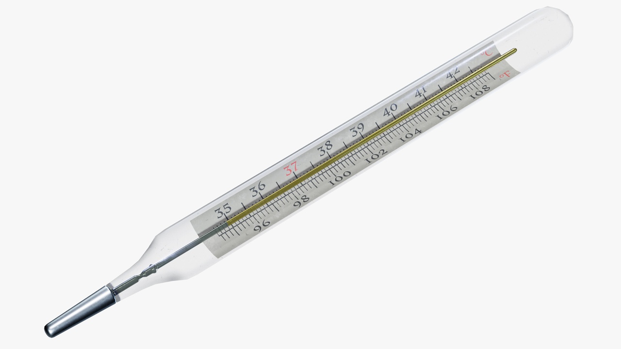 Media 1 for listing Thermometer Clinical Mercury