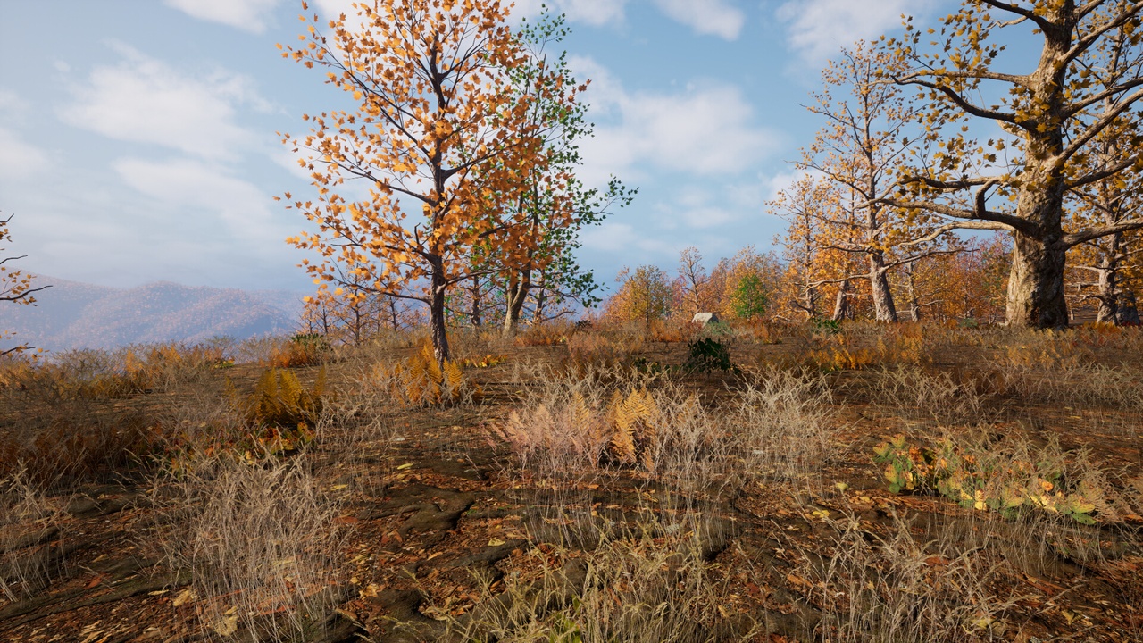 Media 1 for listing 225 Square Km Procedural Forest