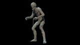 Asset image