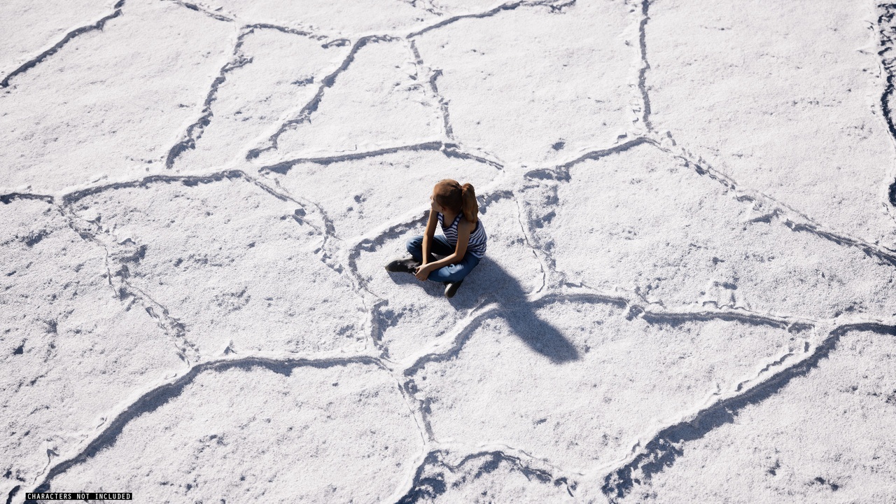 Media 1 for listing Salt Landscape