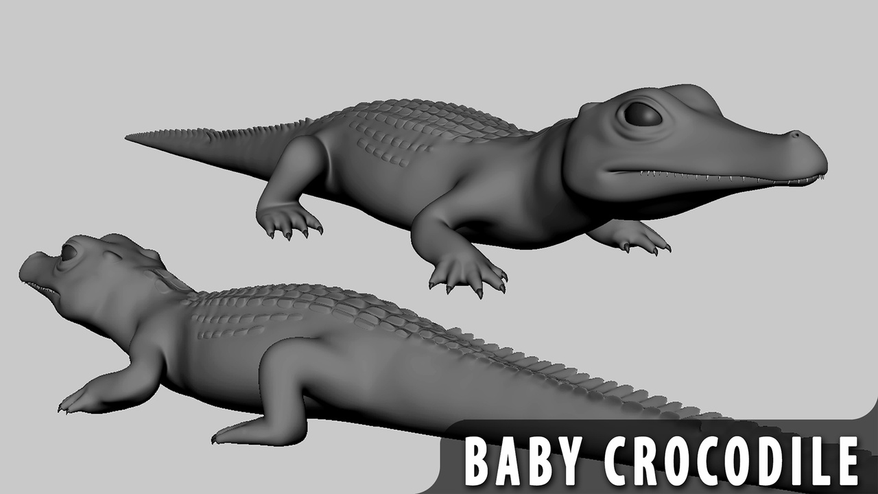 Media 1 for listing Crocodile Baby  - Topology + UV Map