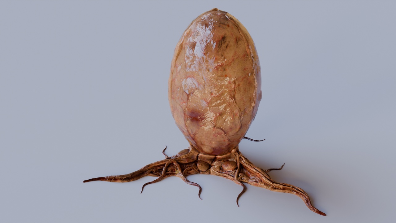 Media 1 for listing Egg Lifeform