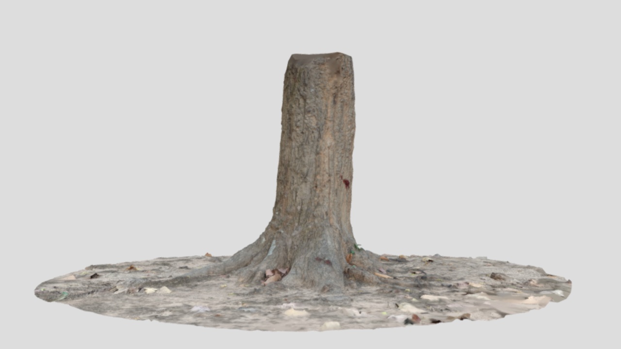 Tree Stump 3D scan | Fab