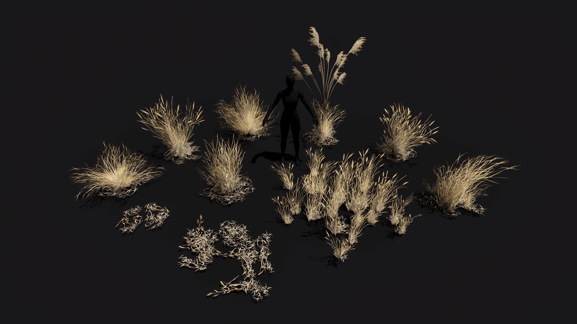Media 1 for listing Arid dead desert savanna steppe dry grass game ready set
