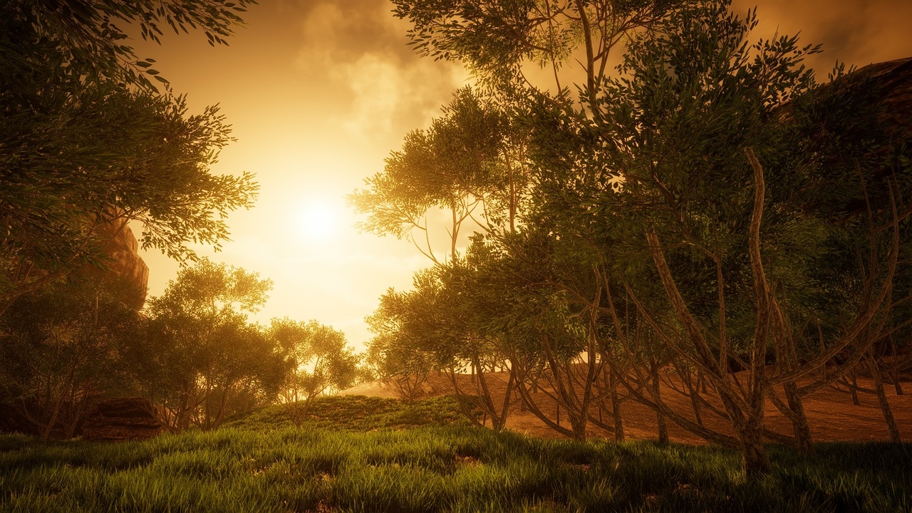 Media 1 for listing HighPoly Tree Pack #6