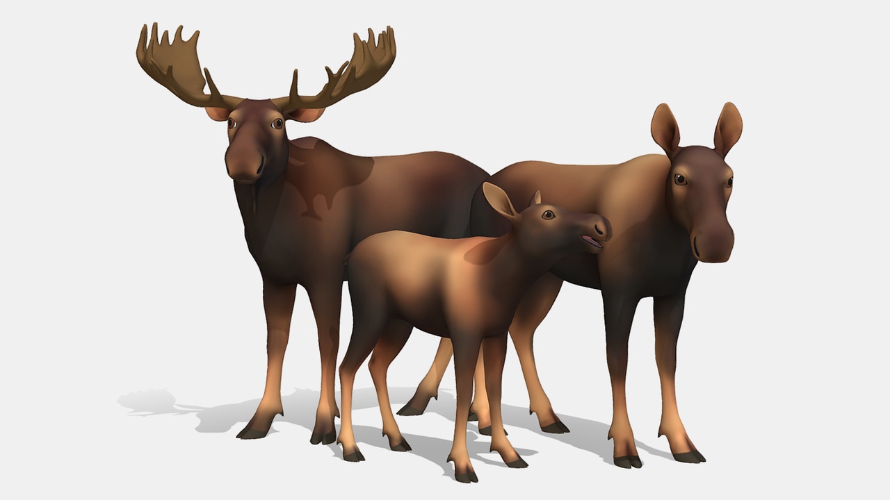 Media 1 for listing Cartoon - Moose