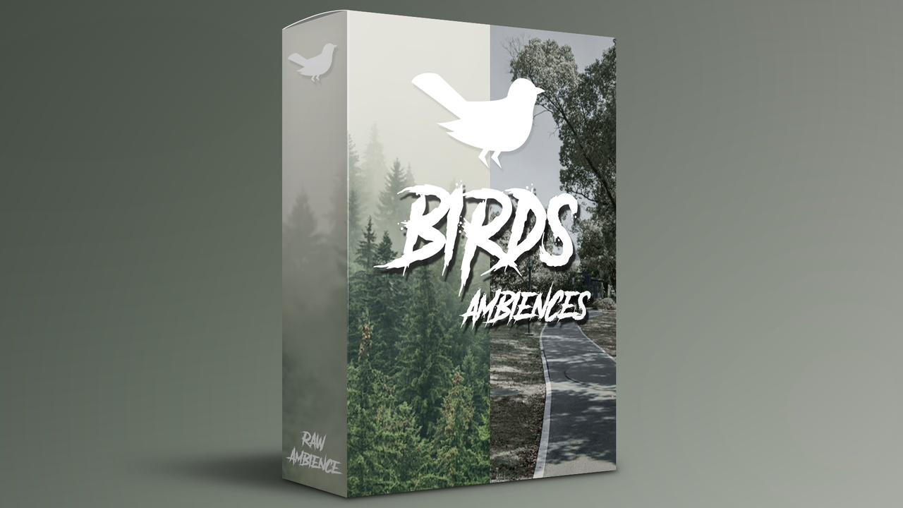 Media 1 for listing Birds Ambiences