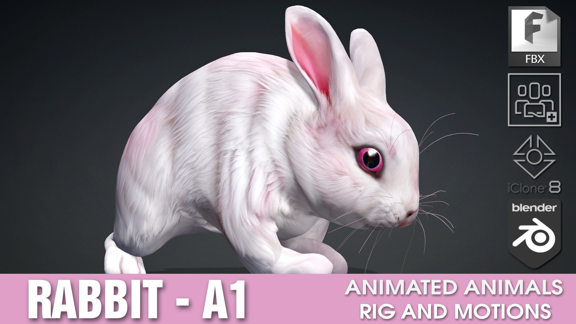 Rabbit_A1 | Fab