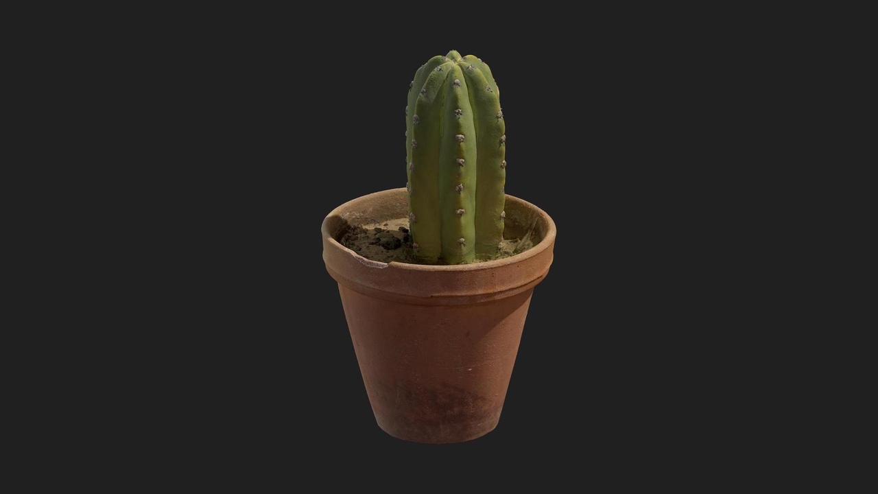 Media 1 for listing Cactus Pot