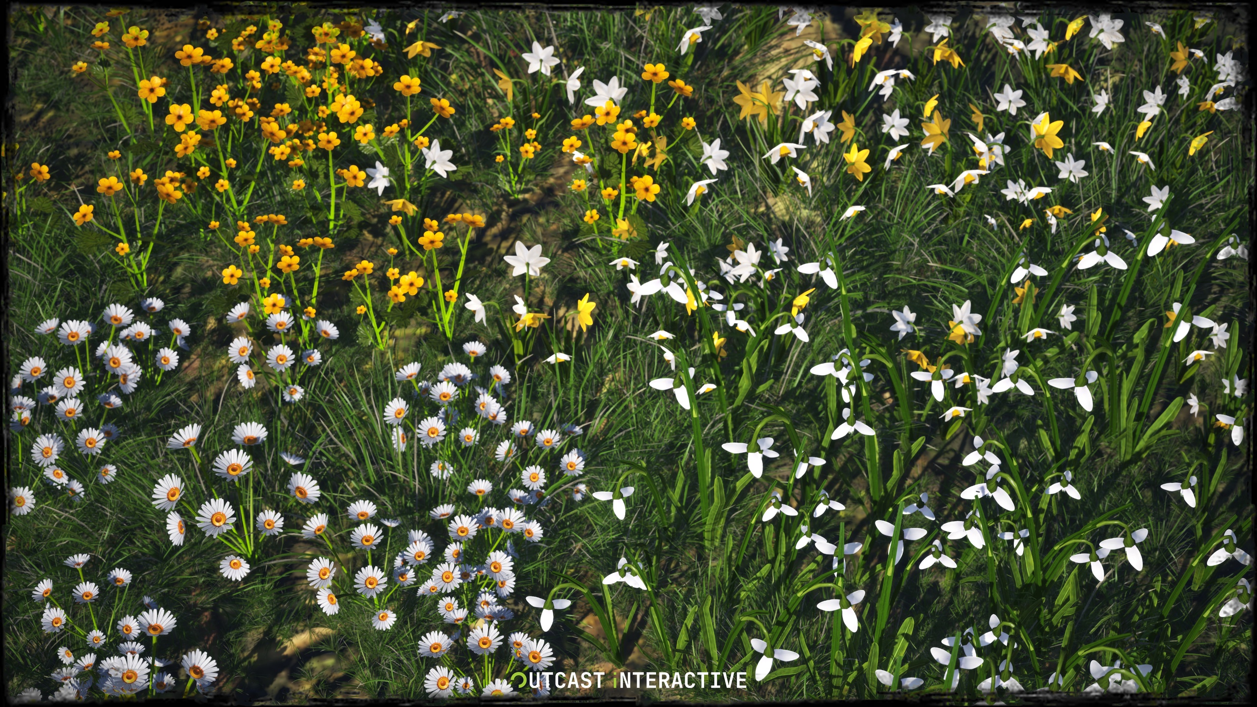 Media 1 for listing Foliage - Flowers And Grass 01