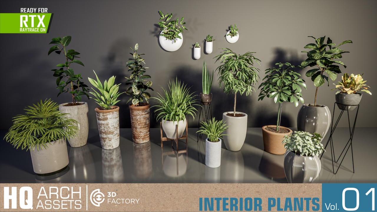 File multimediali per l'articolo HQ Plants Vol.1 ( Interior Plants ): 1