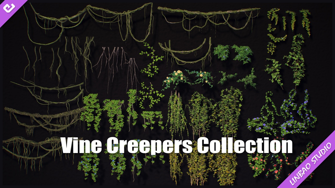 Media 1 for listing Vine Creepers Collection