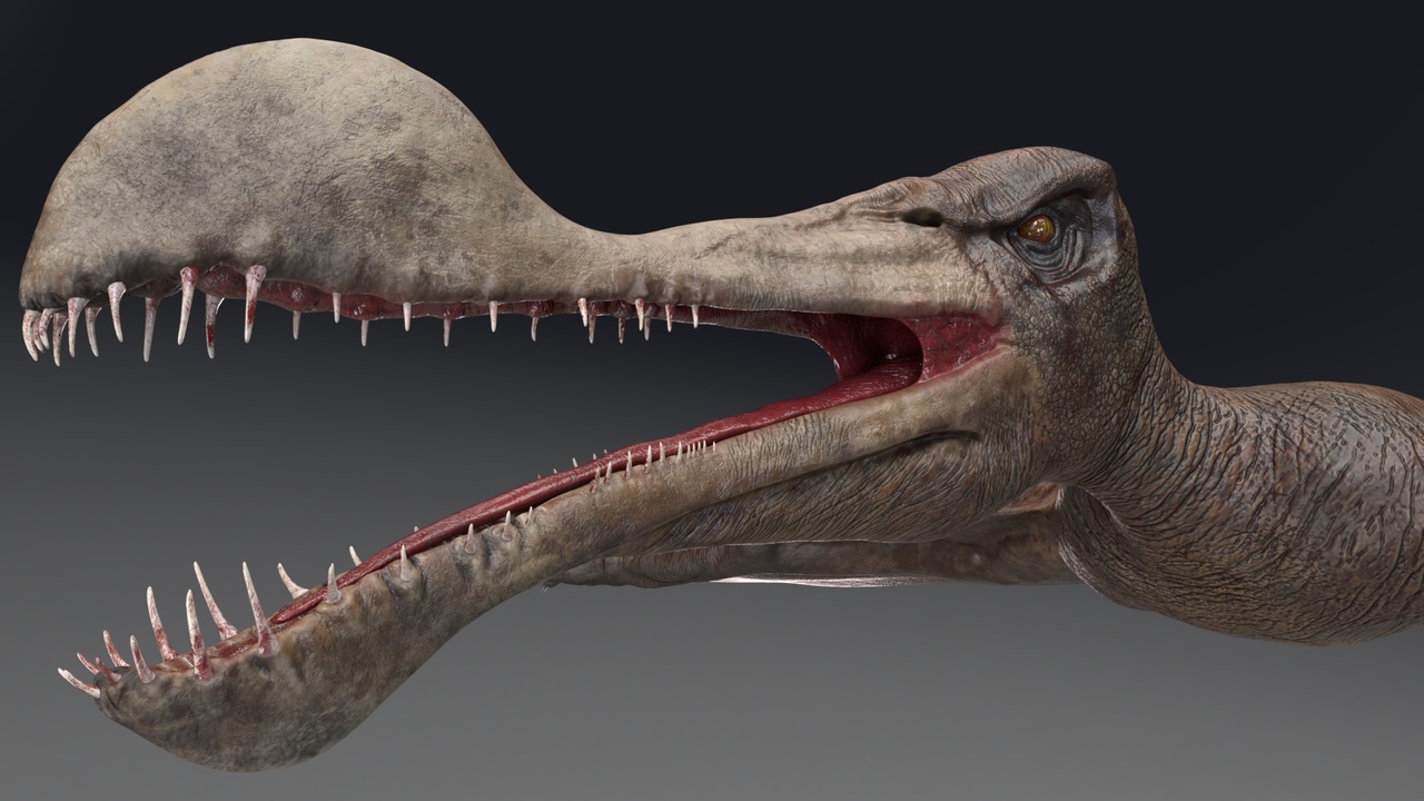 Media 1 for listing Dinosaur Tropeognathus