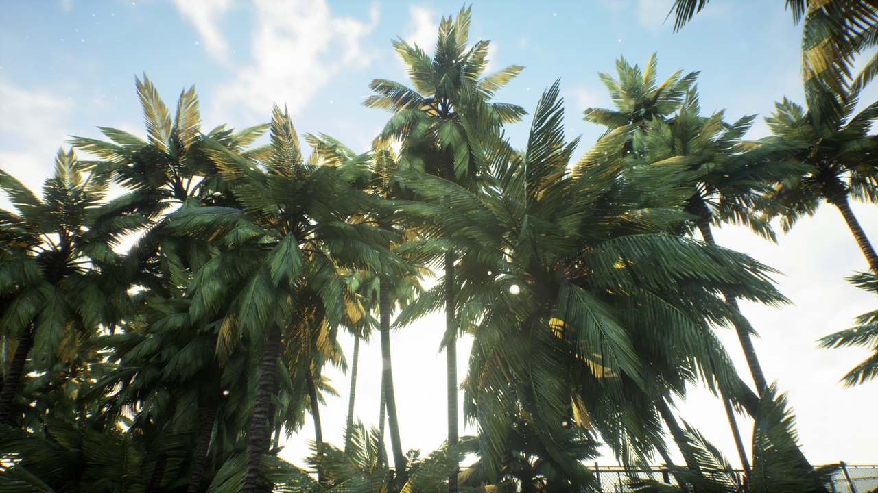 Media 1 for listing Real Palm Pack (Mobile/PC)