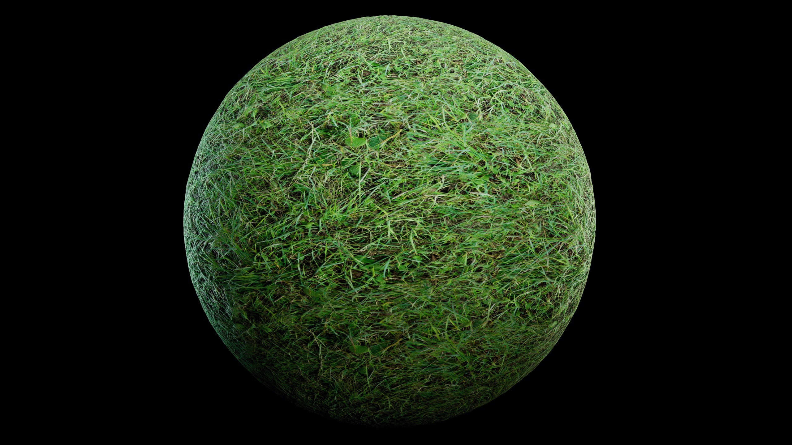 Media 1 for listing Grassy Meadow Grounds – 5 Photo Scanned Seamless Materials