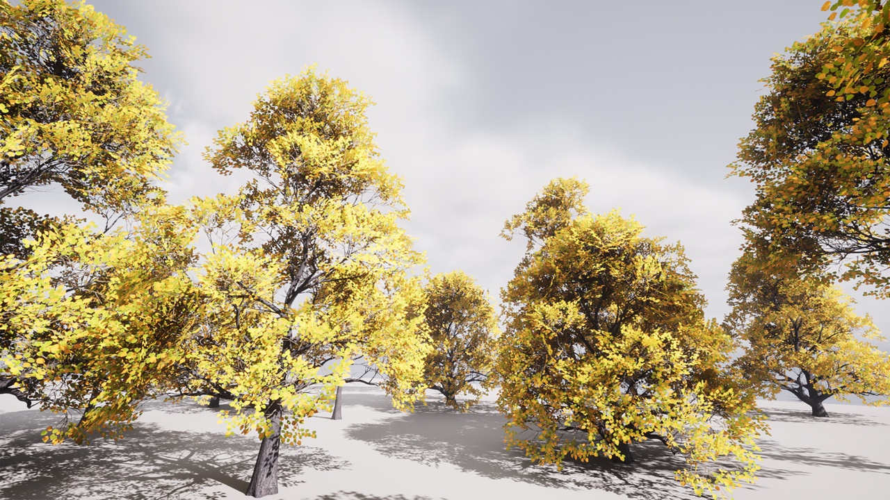 Media 1 for listing HighPoly Tree Pack 50