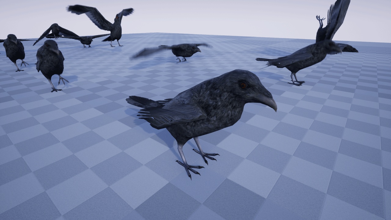 Media 1 for listing BIRDS PACK