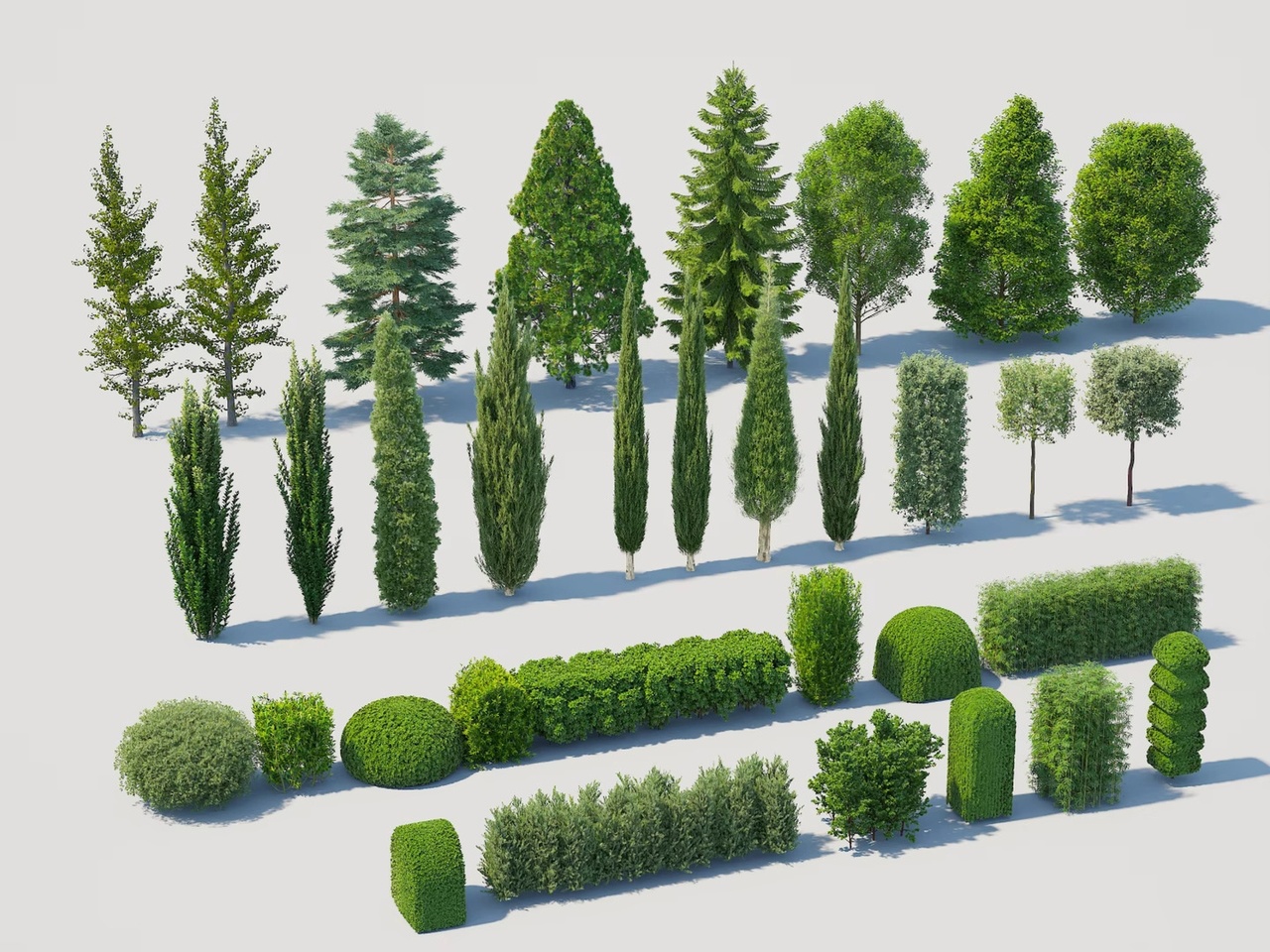 Media 1 for listing Collection of Garden Evergreen Trees and Sculpted Shrubs 3D model