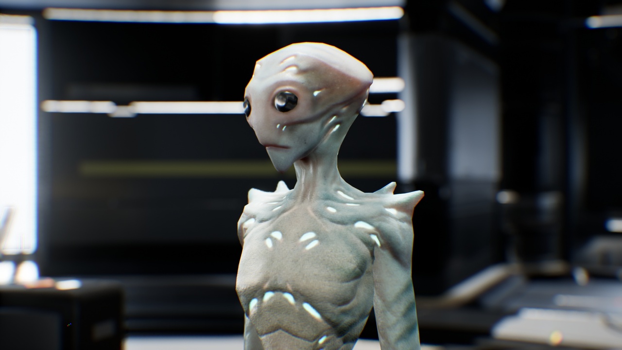 Media 1 for listing Alien Nibenumian