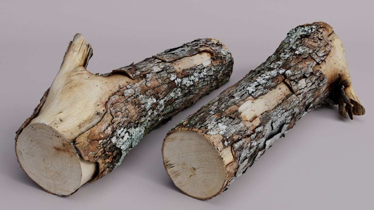 Media 1 for listing Free 4k Wood Log Scan