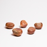Chestnuts Set 01 | Fab