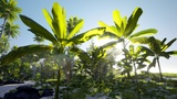 Asset image