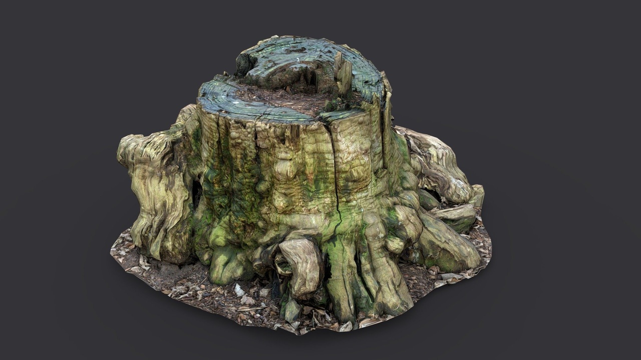 Low Tree Stump | Fab